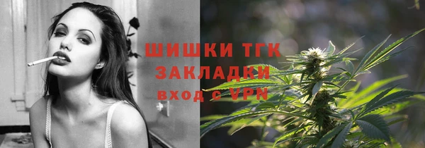 крисы Алзамай