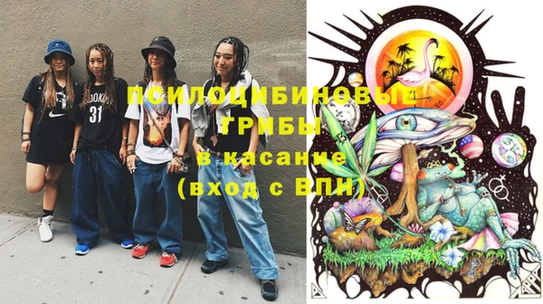 крисы Алзамай